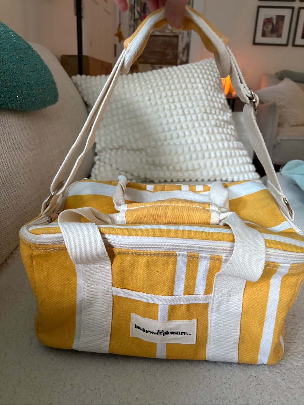 Business and Pleasure Insulated Cooler bag